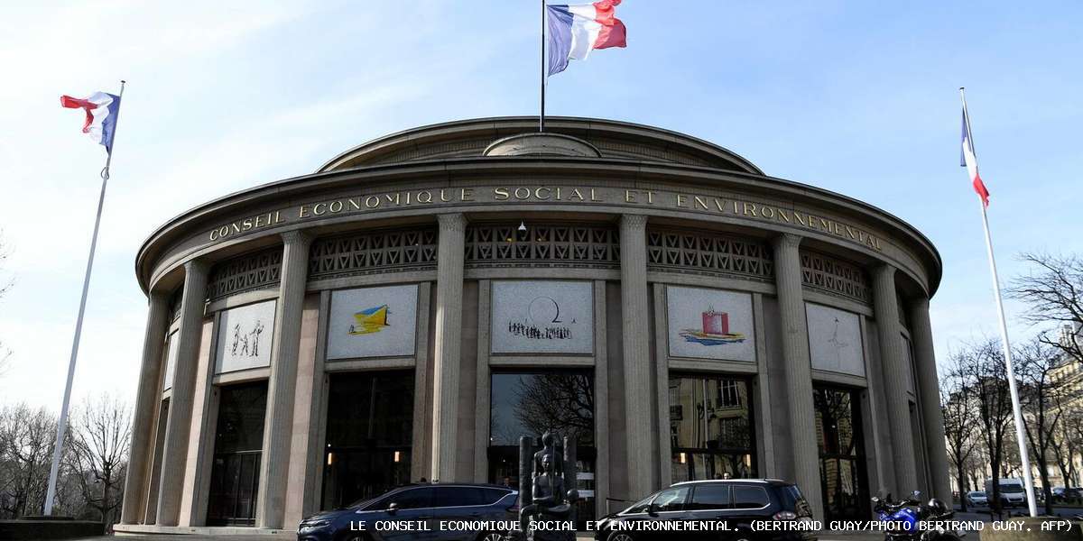 Le Conseil économique, social et environnemental. (BERTRAND GUAY/Photo Bertrand Guay. AFP) - Le Conseil économique, social et environnemental. (BERTRAND GUAY/Photo Bertrand Guay. AFP) Le Cese peut devenir la «chambre du futur»